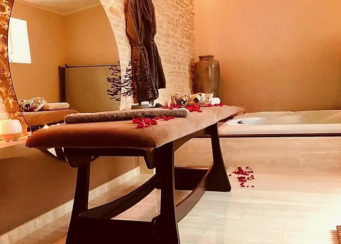 Domaine de l\'Angélique - Loft avec SPA privatif - Marais poitevin entre Niort et La Rochelle
